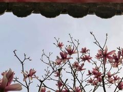 -惠成饺子(百合园店)