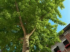 -巴伐利亚啤酒坊(意式风情街店)