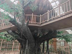 -南宫五洲植物乐园