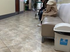 -美联众合动物医院·24h转诊中心