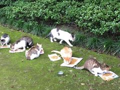 -苏州河梦清园环保主题公园