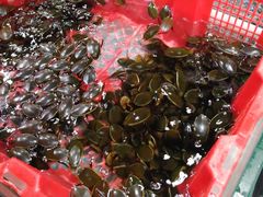 -渔民新村(番禺总店)