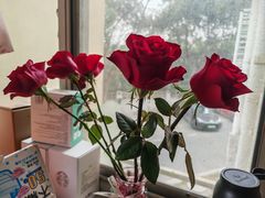 -美尚美鲜花(浦东店)