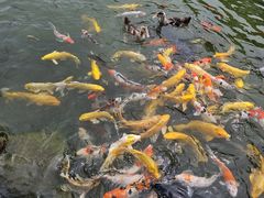 -扬州瘦西湖温泉