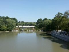 -溱湖国家湿地公园