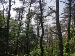-沂蒙山旅游区云蒙景区(蒙山国家森林公园)