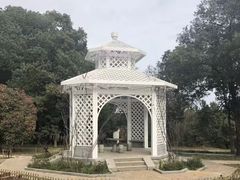 -东湖落雁景区
