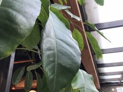 -VOYAGE COFFEE(北锣鼓巷店)