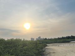 -北海金海湾红树林生态旅游区