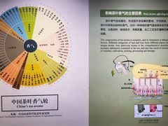 -中国茶叶博物馆(双峰馆区)