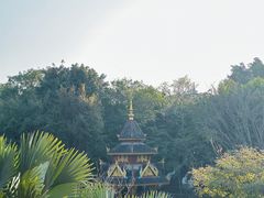 -曼听御花园