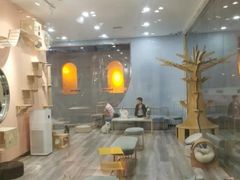 -BABIT巴比特宠物(MOMOPARK店)