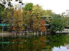 -荔湾湖公园