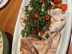 椒麻冰岛红石斑-hallch好吃餐厅(奥体中心店)