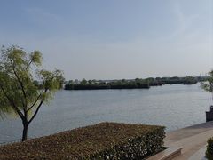 -合肥滨湖国家森林公园
