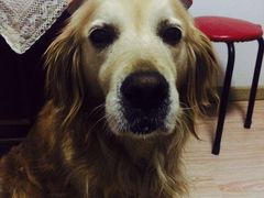 -皇家美孚(海云庵店)