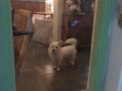 -绿房子方寸咖啡(星海名城店)