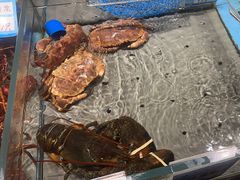 -渔傅·霞浦滩涂海鲜(建平店)