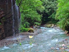 -西岭雪山大飞水景区