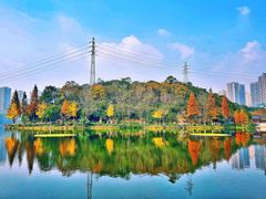 -重庆彩云湖湿地公园