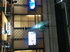 -洪氏嗨捞·广东猪肚鸡·椰子鸡火锅(西咸万象城店)