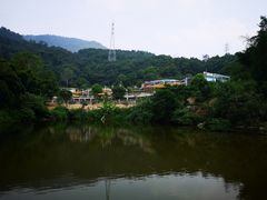 -泉州海丝野生动物世界