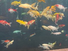 -杭州长乔极地海洋公园