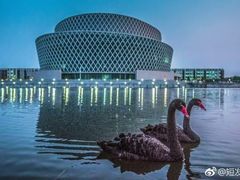 -华北理工大学(曹妃甸校区)