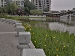 -西海子公园