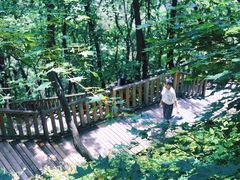 -帽儿山国家森林公园