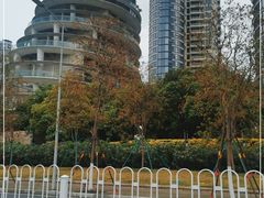 -洲头咀公园