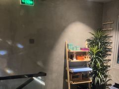 -施奈儿.洗头頭療.按摩SPA.采耳(上梅林店)