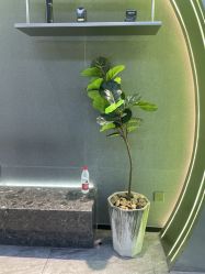 -不迫先生专业男士剪发