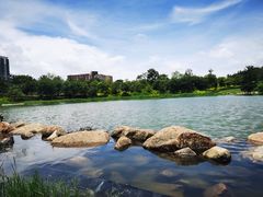 -宝安西湾红树林湿地公园