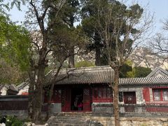 -北京凤凰岭