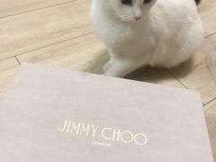 -JIMMY CHOO(德基广场店)