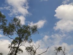 景点-香山湖公园