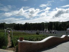 景点-紫海香堤香草艺术庄园