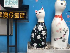 -猫咪博物馆(顶澳仔猫街店)