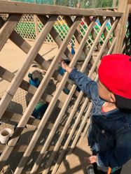 -萌宠亲子动物乐园(槐房万达店)