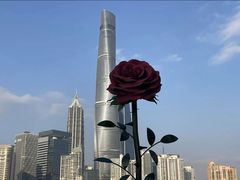 -陆家嘴世纪金融广场