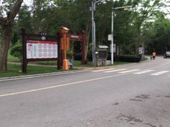 -大屏嶂森林公园