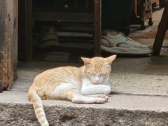 -吴财记面家(大同路店)