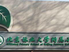 -北京林业大学幼儿园