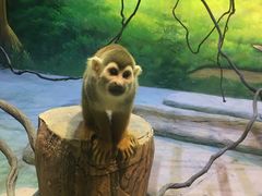 -华夏文旅海洋公园