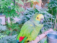 -南宫五洲植物乐园