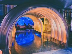 -迪拜帆船酒店海底餐厅