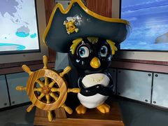 -海合安成都极地海洋公园