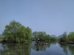 -会仙湿地