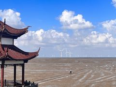 -小洋口旅游度假区
